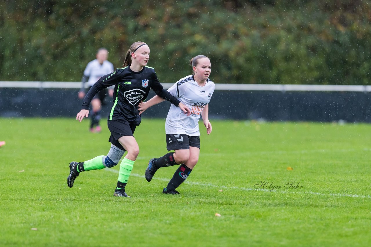 Bild 95 - wBJ SV Henstedt Ulzburg - FSG Oldendorf Itzehoe : Ergebnis: 1:5